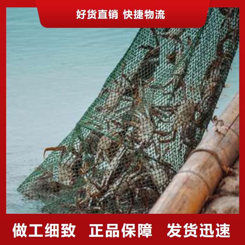 蟹,阳澄湖大闸蟹礼盒产品实拍