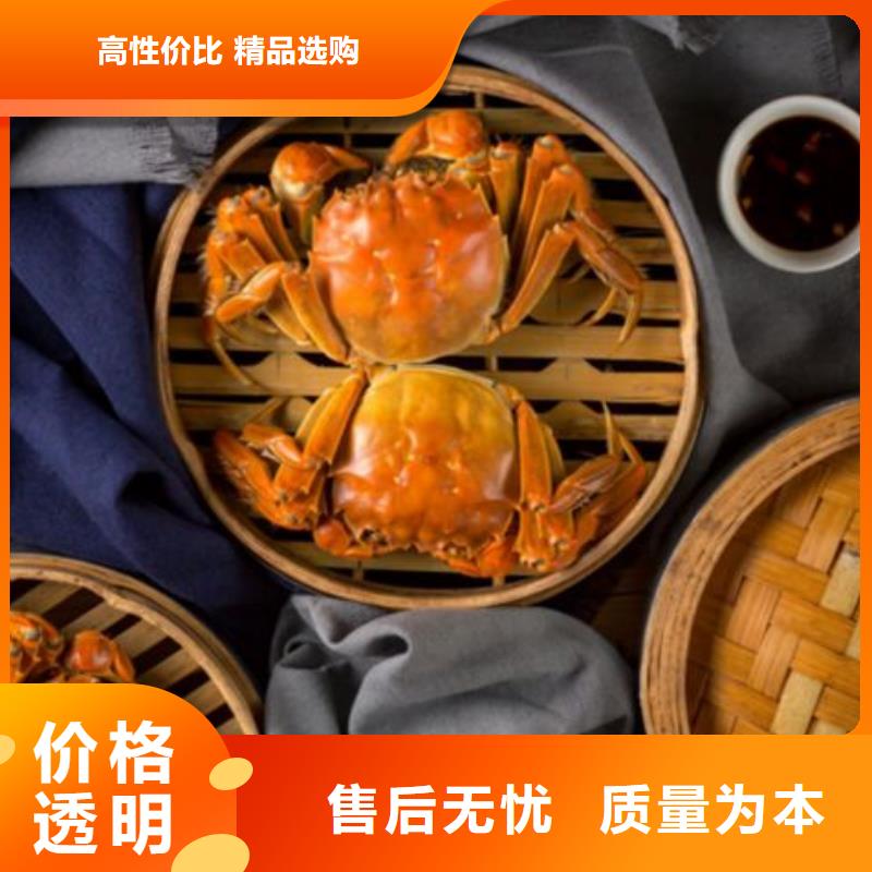 蟹阳澄湖大闸蟹直营店市场报价