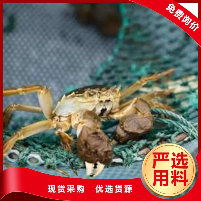 蟹阳澄湖大闸蟹直营店省心又省钱