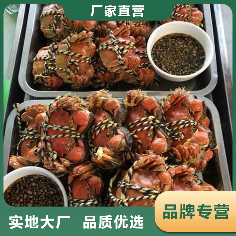 蟹近的阳澄湖大闸蟹销售点定金锁价