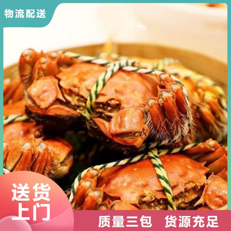 阳澄湖大闸蟹视频-郴州|岳阳|益阳|娄底|怀化|株洲|湘西阳澄湖大闸蟹多种规格可选-阳澄湖镇岛顾记大闸蟹经营部(湖南省分公司)