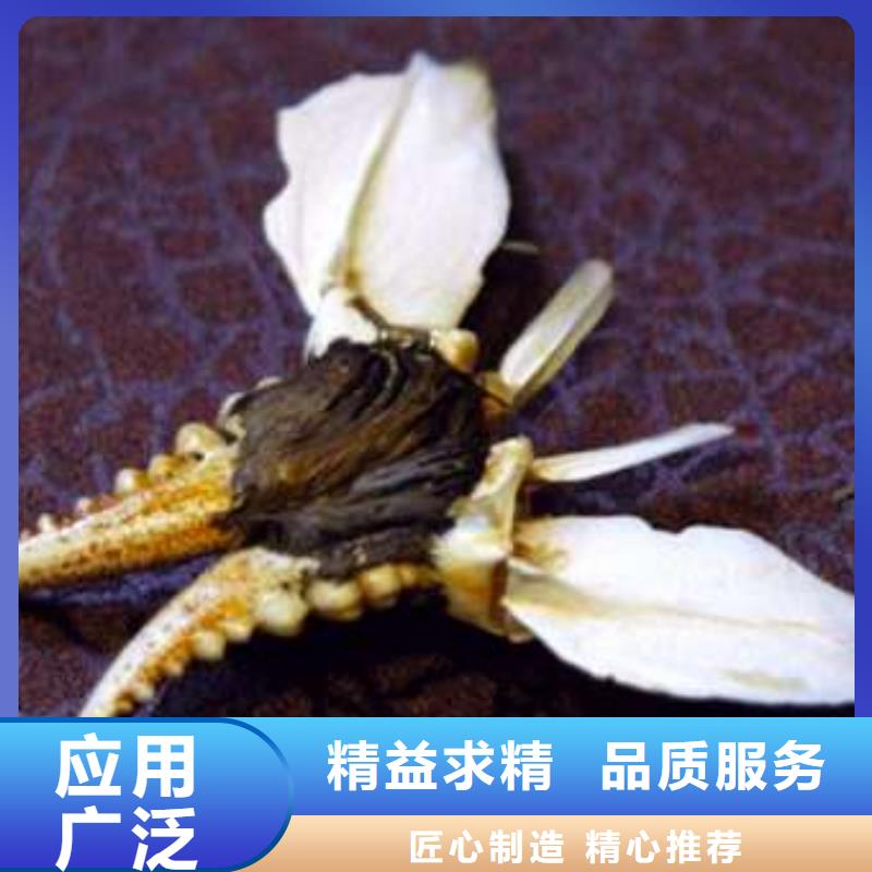 蟹阳澄湖大闸蟹网购货品齐全