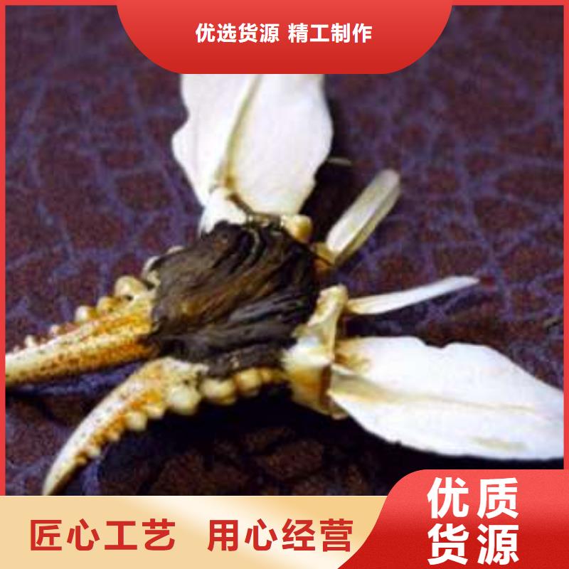 蟹阳澄湖大闸蟹网购订购