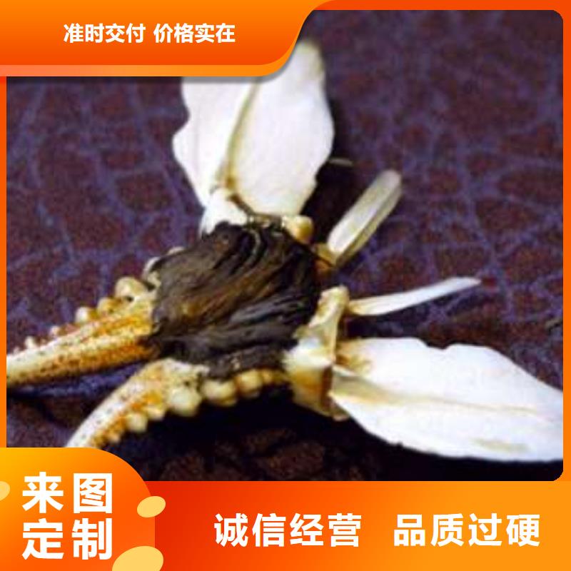 蟹_阳澄湖大闸蟹几两吃大量现货