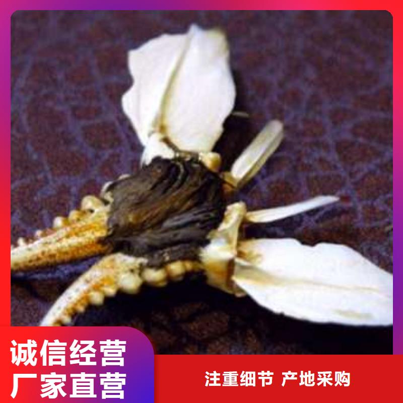 顾记阳澄湖大闸蟹【 螃蟹阳澄湖大闸蟹团购按需定制真材实料】cg39.com