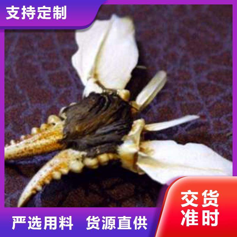 顾记阳澄湖大闸蟹【 螃蟹_阳澄湖农家乐库存齐全厂家直供】cg39.com