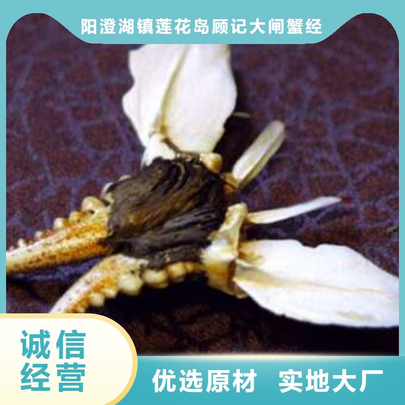 蟹,近的阳澄湖大闸蟹销售点严选好货