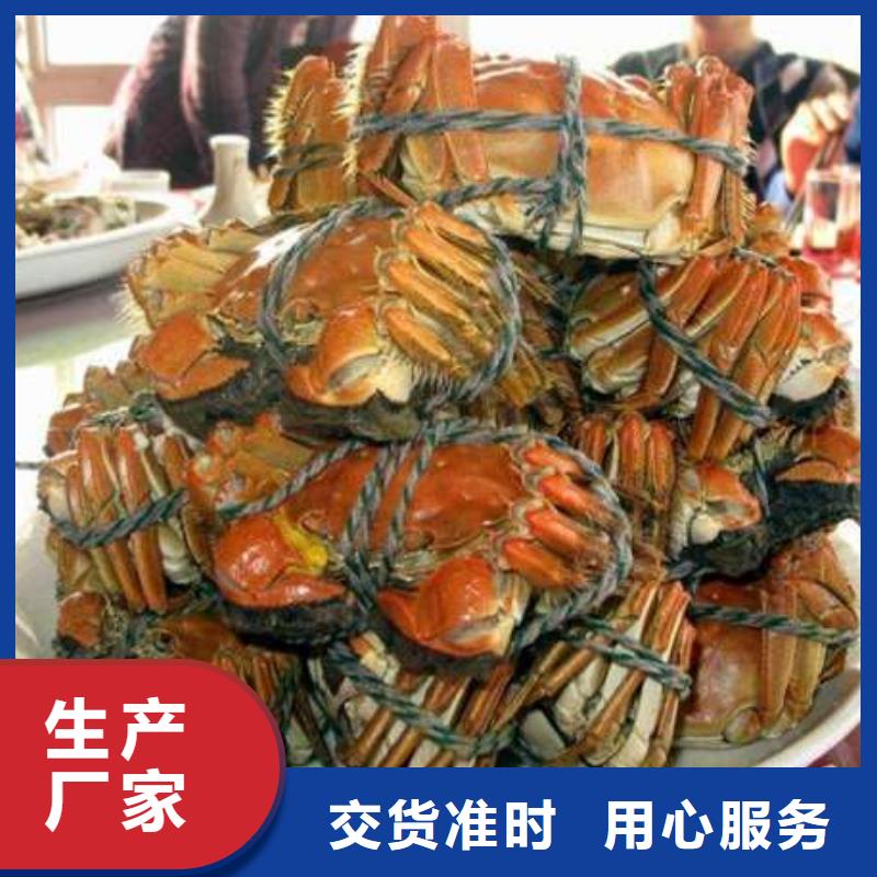 阳澄湖大闸蟹顾记【螃蟹 卖阳澄湖大闸蟹地方出厂价】
