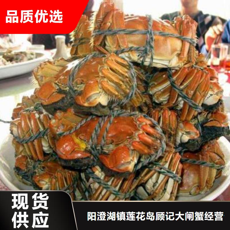 蟹阳澄湖大闸蟹几两吃真诚合作
