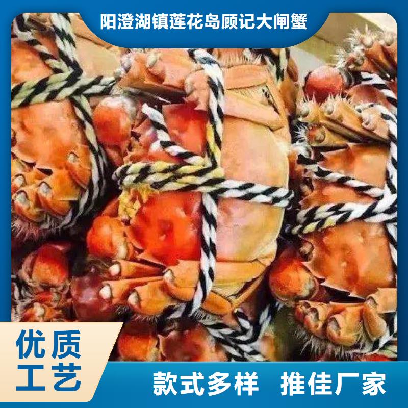 蟹阳澄湖大闸蟹中秋送礼优选好材铸造好品质