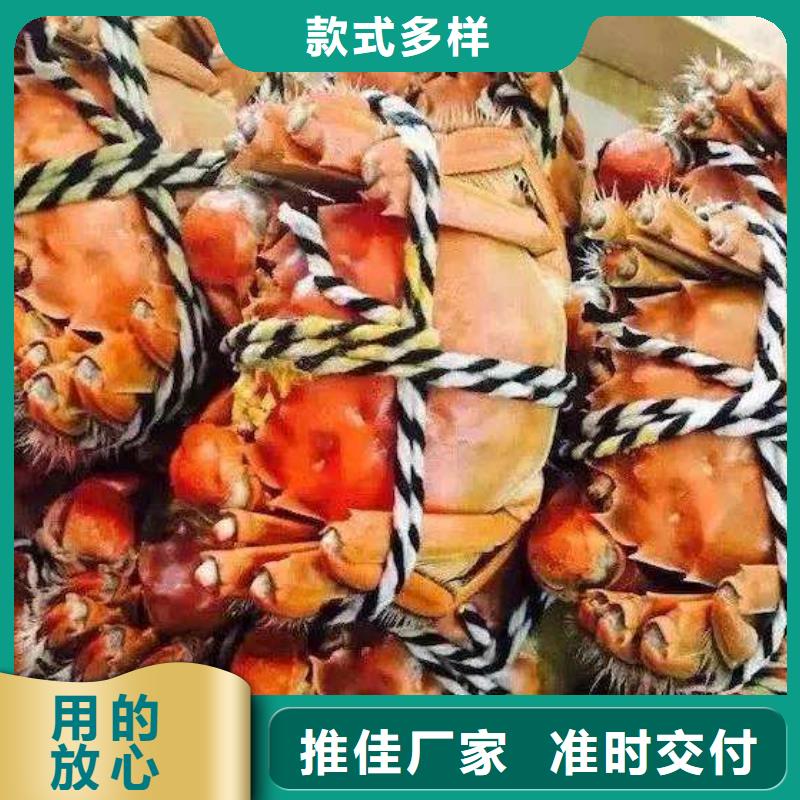 阳澄湖大闸蟹视频-阳澄湖大闸蟹-甘肃省平凉市【当地】厂家-泾川|静宁|甘南|武威|陇南|嘉峪关|临夏|张掖|金昌