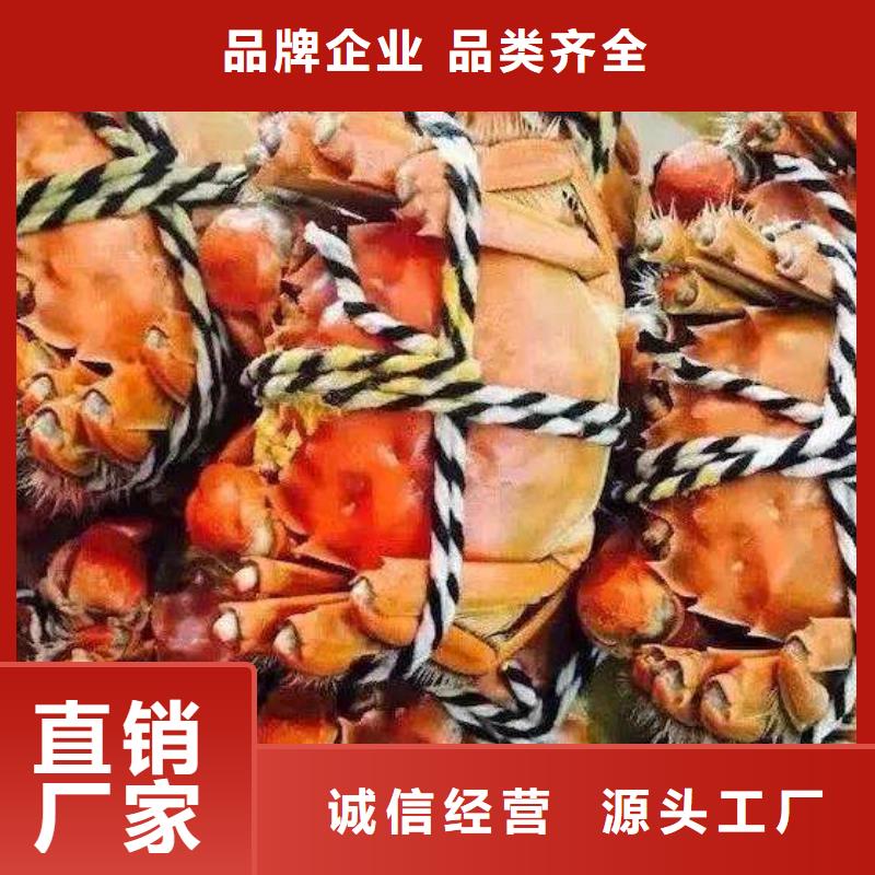 阳澄湖大闸蟹视频-内蒙古包头市|赤峰|呼伦贝尔|呼和浩特|通辽|鄂尔多斯阳澄湖大闸蟹-顾记