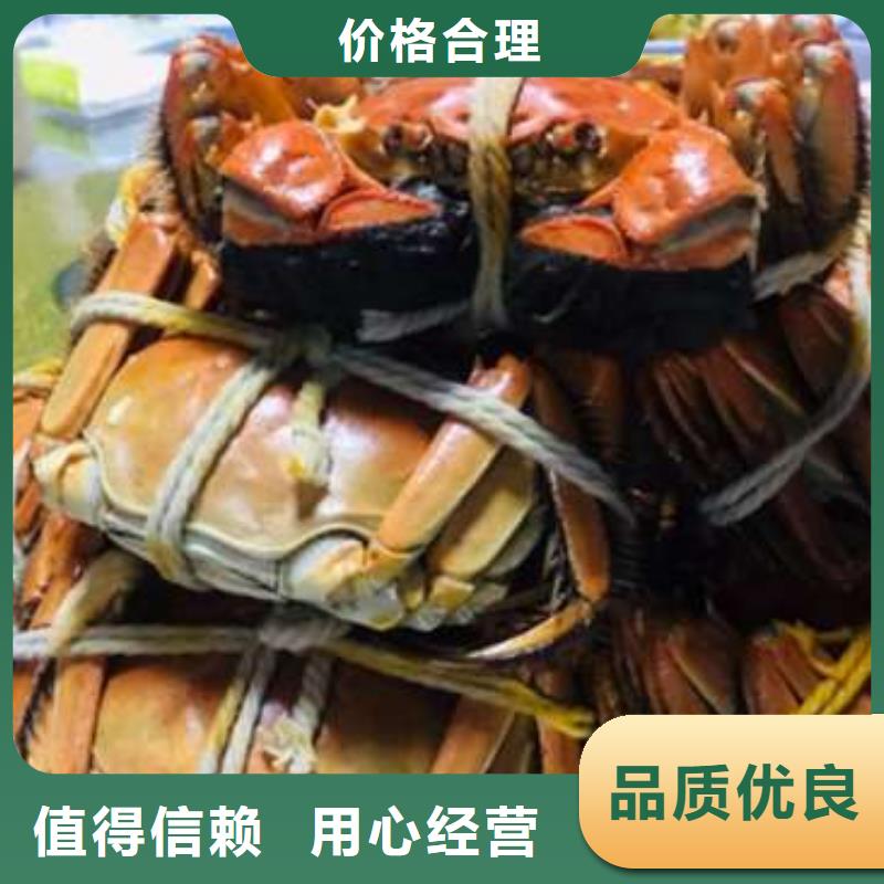 蟹_阳澄湖大闸蟹几两吃大量现货