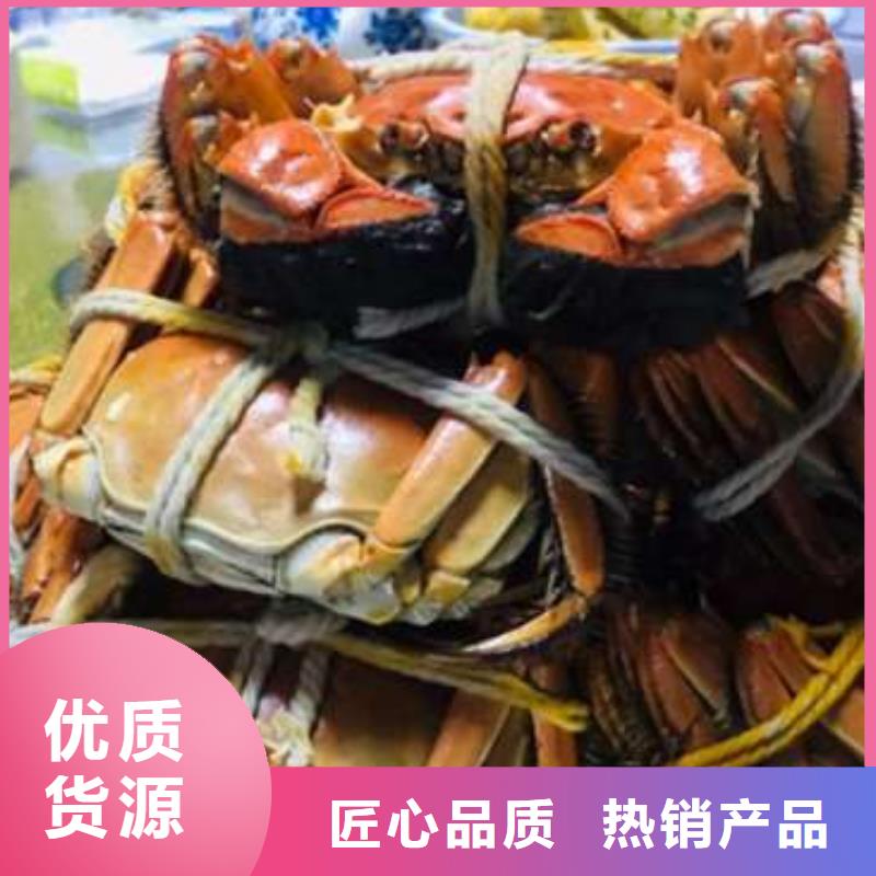 蟹哪里有卖阳澄湖大闸蟹精工细作品质优良