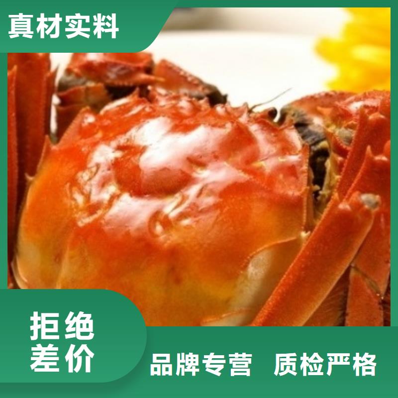 蟹阳澄湖大闸蟹几月份吃48小时发货