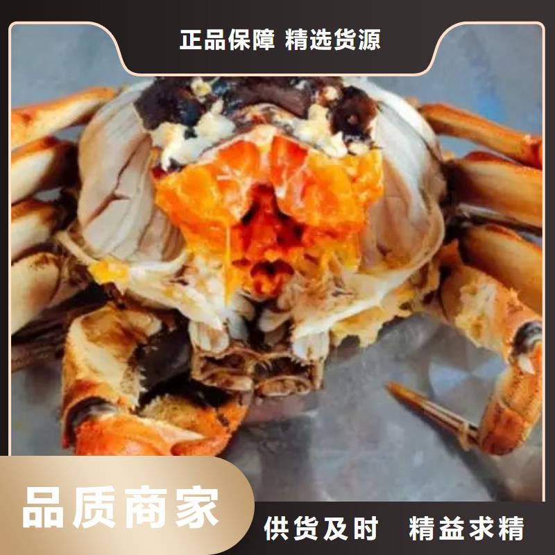 阳澄湖大闸蟹视频-郴州|岳阳|益阳|娄底|怀化|株洲|湘西阳澄湖大闸蟹多种规格可选-阳澄湖镇岛顾记大闸蟹经营部(湖南省分公司)