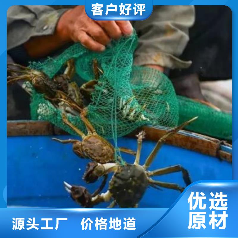 【 螃蟹-阳澄湖大闸蟹行业优选】-阳澄湖镇岛顾记大闸蟹经营部(晋中市分公司)