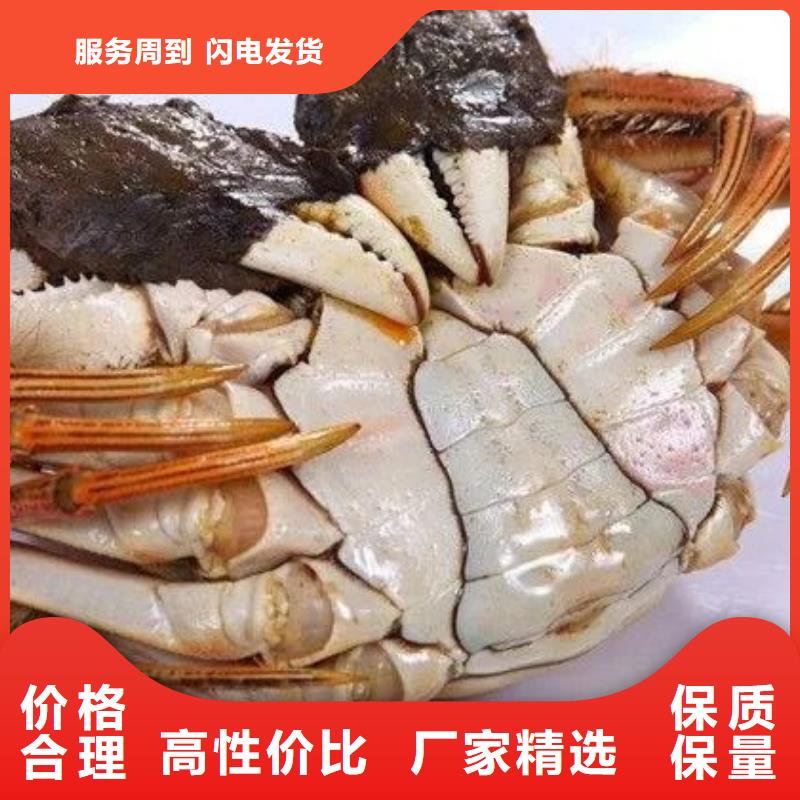 阳澄湖大闸蟹视频-阳澄湖大闸蟹_广东省广州市市场覆盖黄埔|增城|佛山|河源|惠州|茂名|中山|韶关等