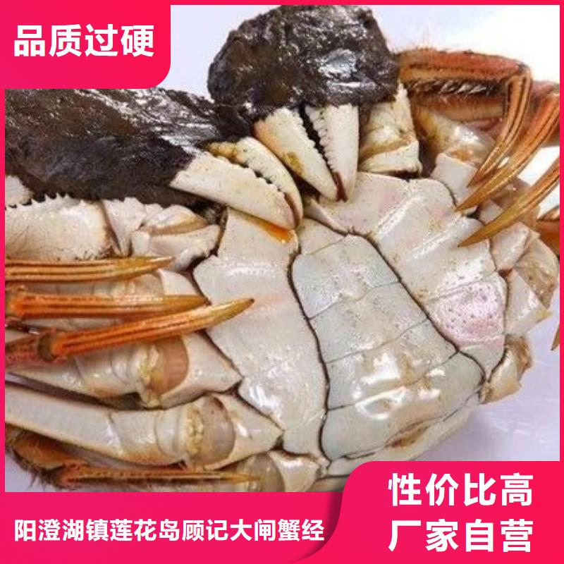 蟹阳澄湖大闸蟹零售店现货实拍