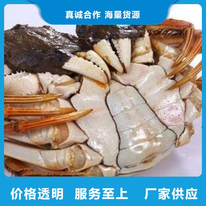 阳澄湖大闸蟹视频-河南省平顶山市|舞钢|汝州|新乡|信阳|洛阳|许昌|周口|濮阳阳澄湖大闸蟹-顾记