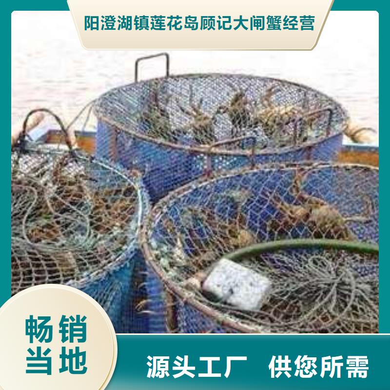 阳澄湖大闸蟹视频-山西省晋中市顾记阳澄湖大闸蟹可服务区域榆社|昔阳|太原|朔州|晋城|大同等