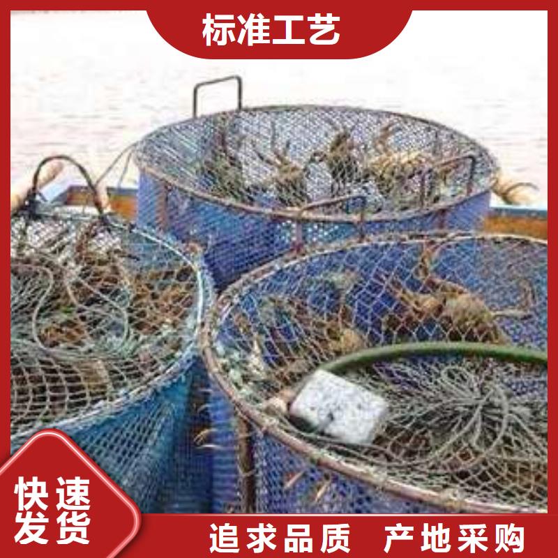 阳澄湖大闸蟹视频-阳澄湖大闸蟹-山西省运城市平陆|新绛|长治|朔州|吕梁|临汾|太原|晋中|忻州本地货源