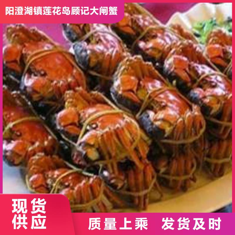阳澄湖大闸蟹视频-阳澄湖大闸蟹-阳澄湖镇岛顾记大闸蟹经营部(平顶山市分公司)服务区域汝州|卫东|濮阳|信阳|开封|新乡|驻马店|商丘|周口