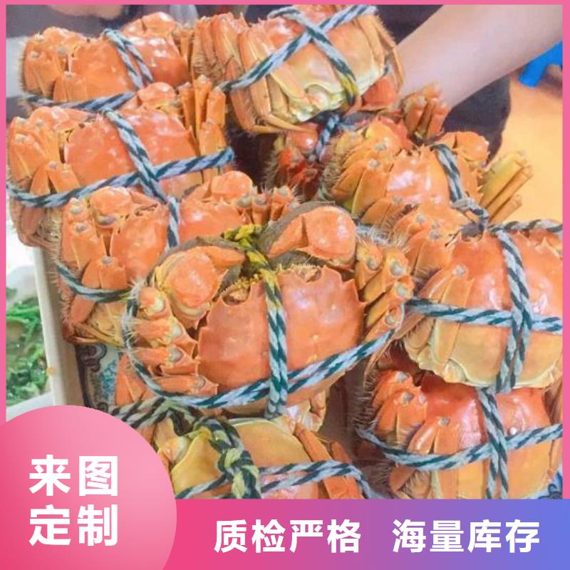 蟹-阳澄湖大闸蟹几两吃精工细作品质优良