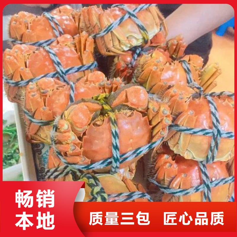 蟹,阳澄湖大闸蟹多少重量厂家型号齐全