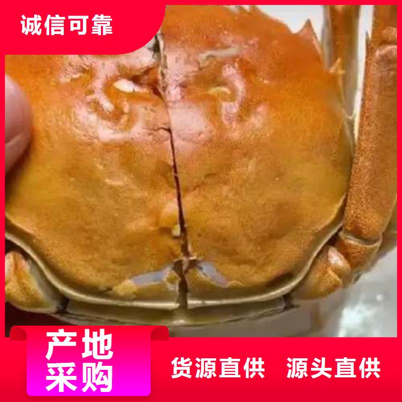 蟹阳澄湖大闸蟹零售店来图来样定制