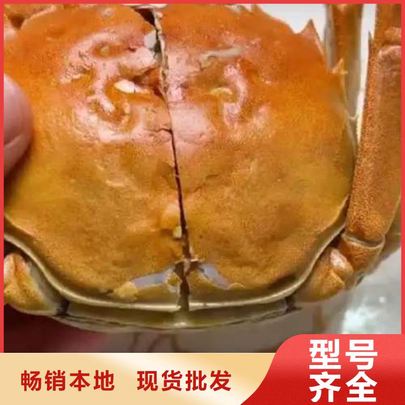 蟹阳澄湖大闸蟹多少重量优选厂家