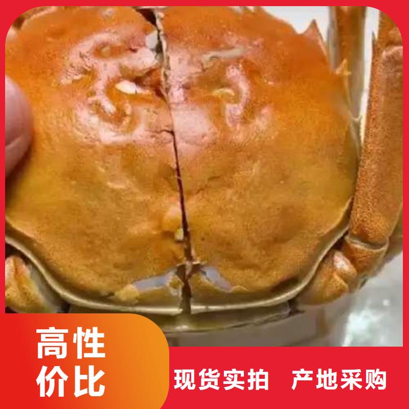 蟹,阳澄湖大闸蟹哪个品牌正宗型号全价格低