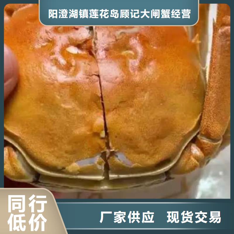 阳澄湖大闸蟹顾记【螃蟹 卖阳澄湖大闸蟹地方出厂价】