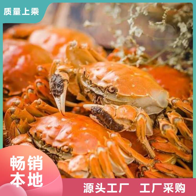 阳澄湖大闸蟹视频-郴州|岳阳|益阳|娄底|怀化|株洲|湘西阳澄湖大闸蟹多种规格可选-阳澄湖镇岛顾记大闸蟹经营部(湖南省分公司)