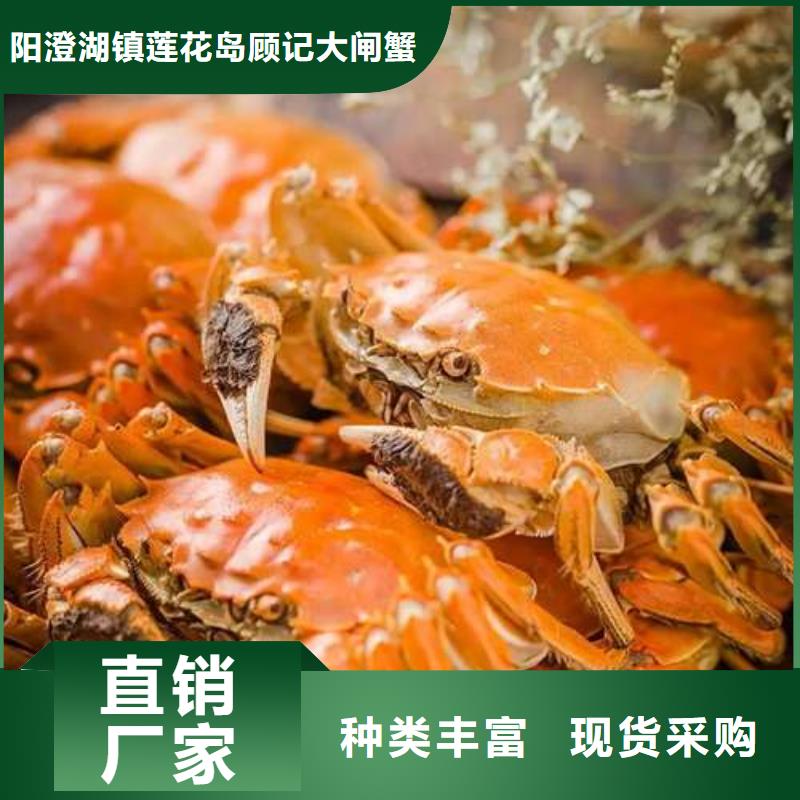 蟹阳澄湖大闸蟹网购把实惠留给您