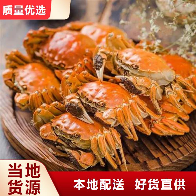阳澄湖大闸蟹视频-河南省平顶山市|舞钢|汝州|新乡|信阳|洛阳|许昌|周口|濮阳阳澄湖大闸蟹-顾记