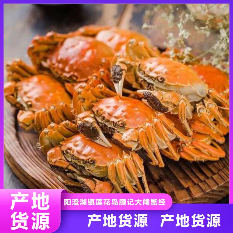 蟹阳澄湖大闸蟹网购现货批发