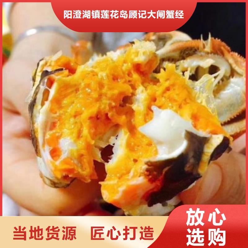 【 螃蟹-阳澄湖大闸蟹订购品质优选】 阳澄湖镇岛顾记大闸蟹经营部(平凉市分公司)