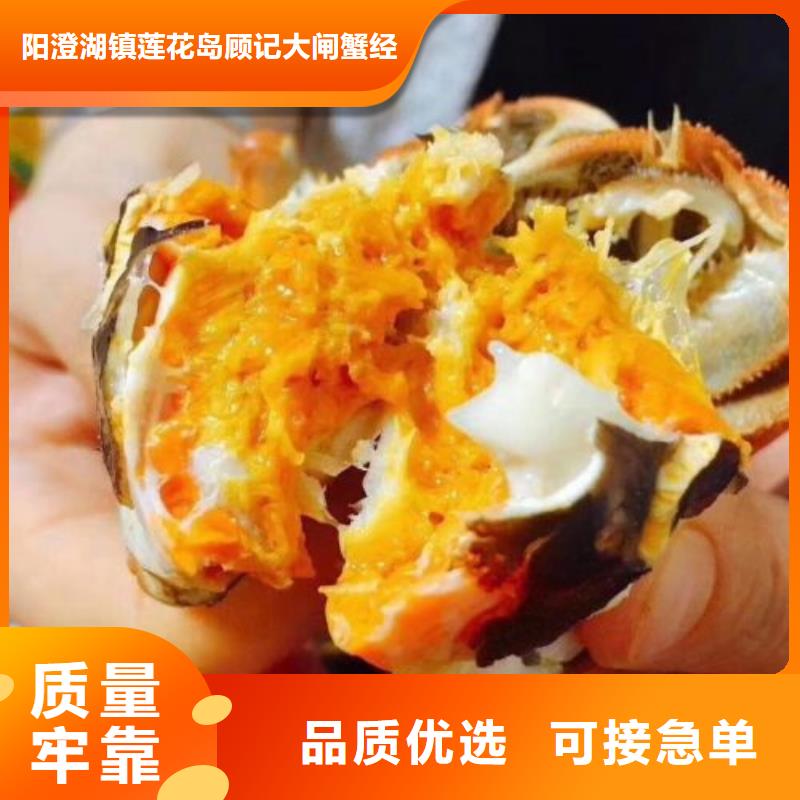 蟹-近的阳澄湖大闸蟹销售点用心做产品