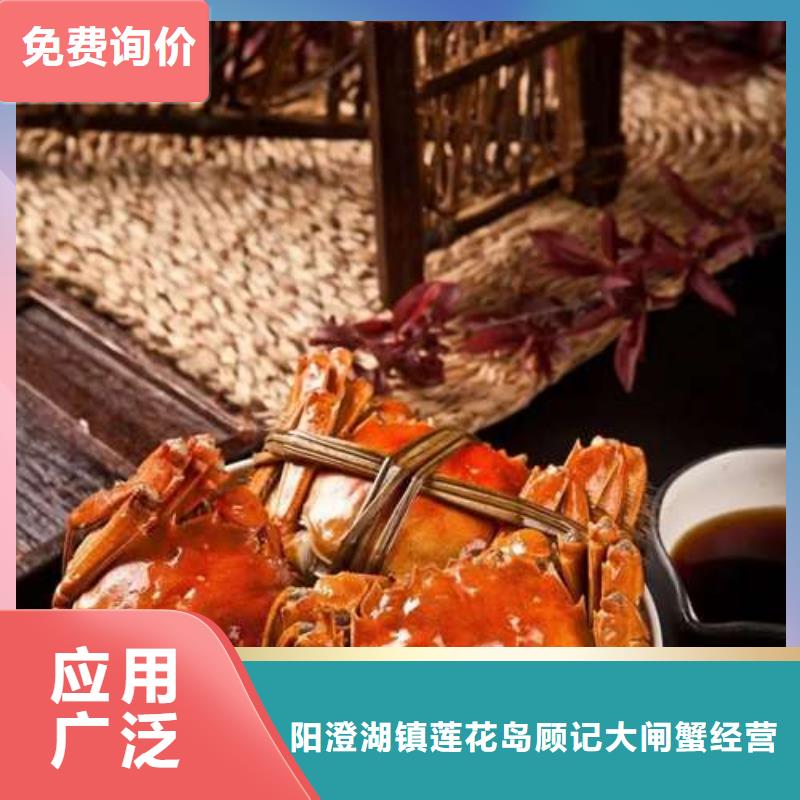 蟹-近的阳澄湖大闸蟹销售点高品质诚信厂家