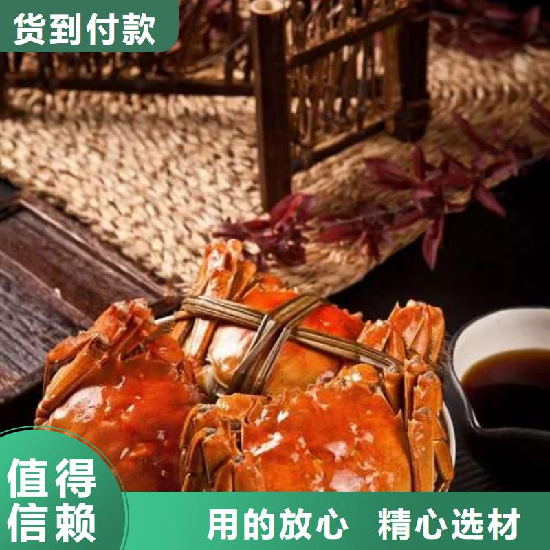 蟹阳澄湖大闸蟹批发店支持定制批发