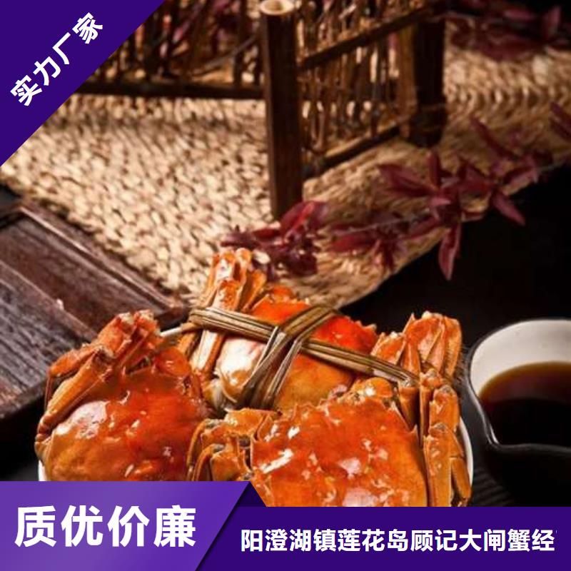 阳澄湖大闸蟹视频-常德|娄底|株洲|郴州|张家界阳澄湖大闸蟹今日价格-阳澄湖镇岛顾记大闸蟹经营部(湖南省分公司)