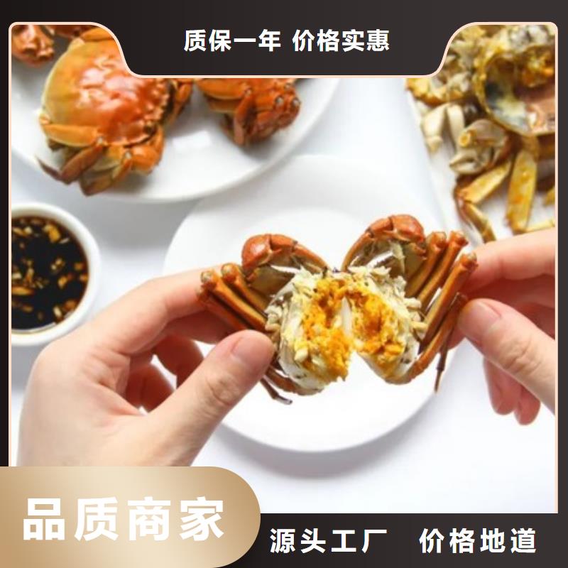 蟹,阳澄湖大闸蟹到哪里买常年出售
