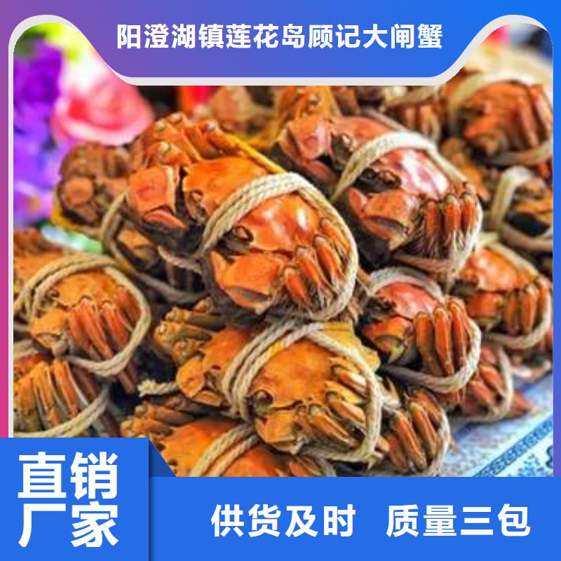 阳澄湖大闸蟹视频-内蒙古包头市|赤峰|呼伦贝尔|呼和浩特|通辽|鄂尔多斯阳澄湖大闸蟹-顾记