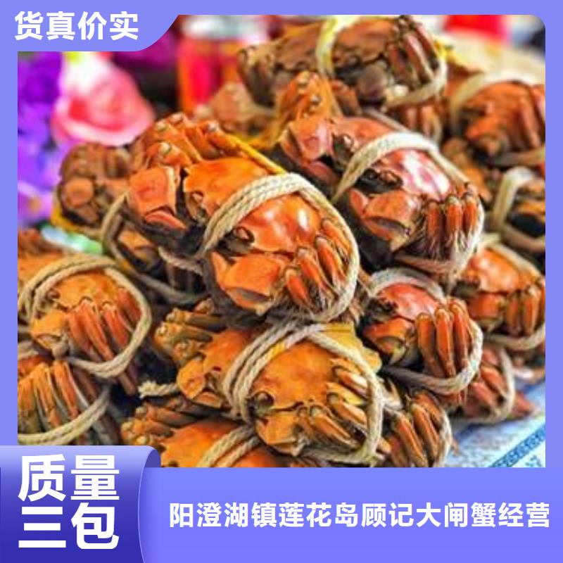 蟹阳澄湖大闸蟹批发店诚信厂家