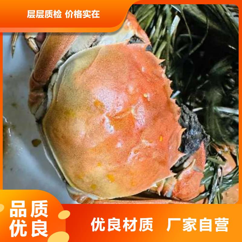 阳澄湖大闸蟹视频-河南省平顶山市|舞钢|汝州|新乡|信阳|洛阳|许昌|周口|濮阳阳澄湖大闸蟹-顾记