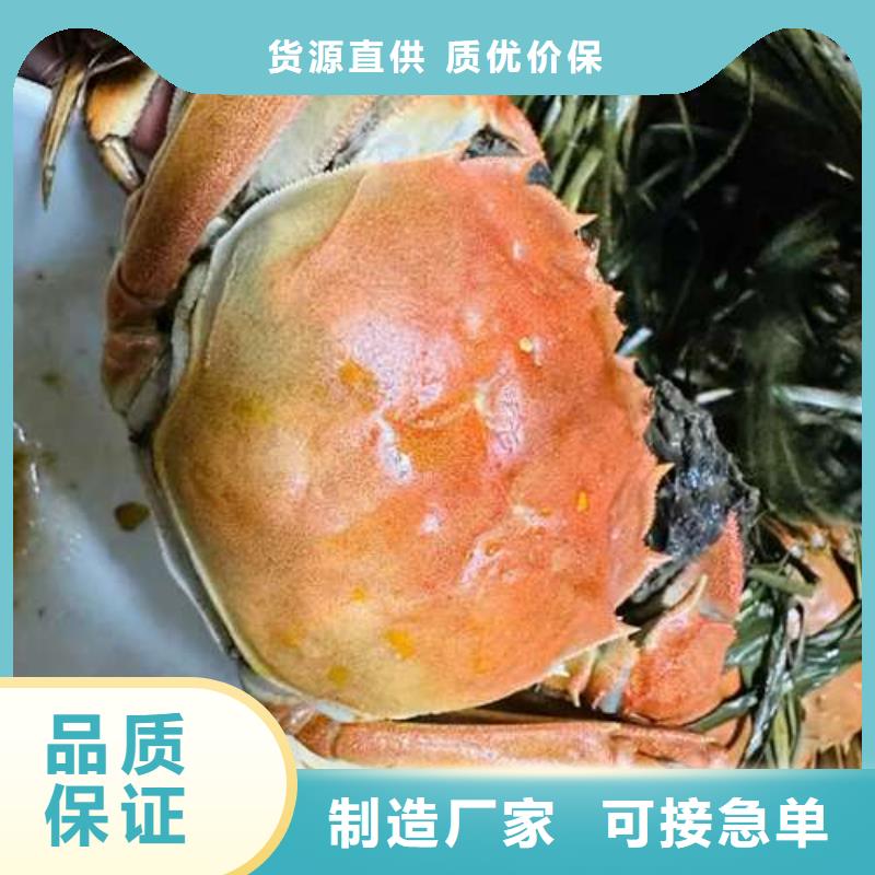 阳澄湖大闸蟹视频-山西省晋中市顾记阳澄湖大闸蟹可服务区域榆社|昔阳|太原|朔州|晋城|大同等