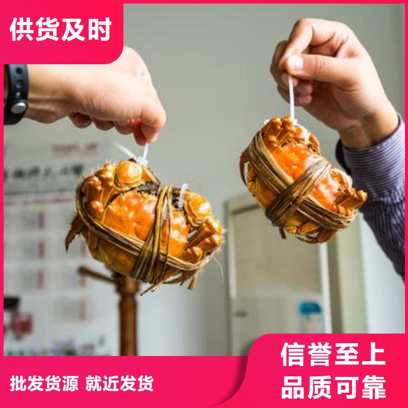 蟹,阳澄湖大闸蟹到哪里买常年出售