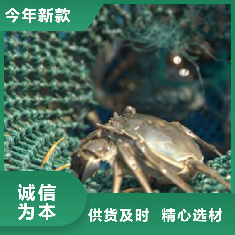阳澄湖大闸蟹视频-阳澄湖大闸蟹-甘肃省平凉市【当地】厂家-泾川|静宁|甘南|武威|陇南|嘉峪关|临夏|张掖|金昌