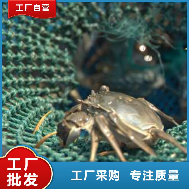 蟹_哪里有卖阳澄湖大闸蟹欢迎来电询价